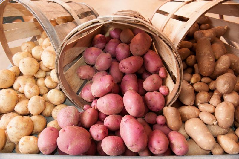 Предоставление семенного картофеля как дополнительная мера поддержки семьям участников СВО